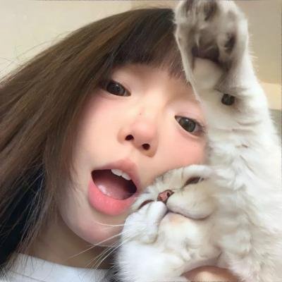 王室绯闻守则