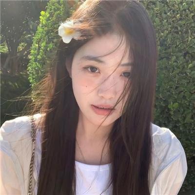 呆仔缉私